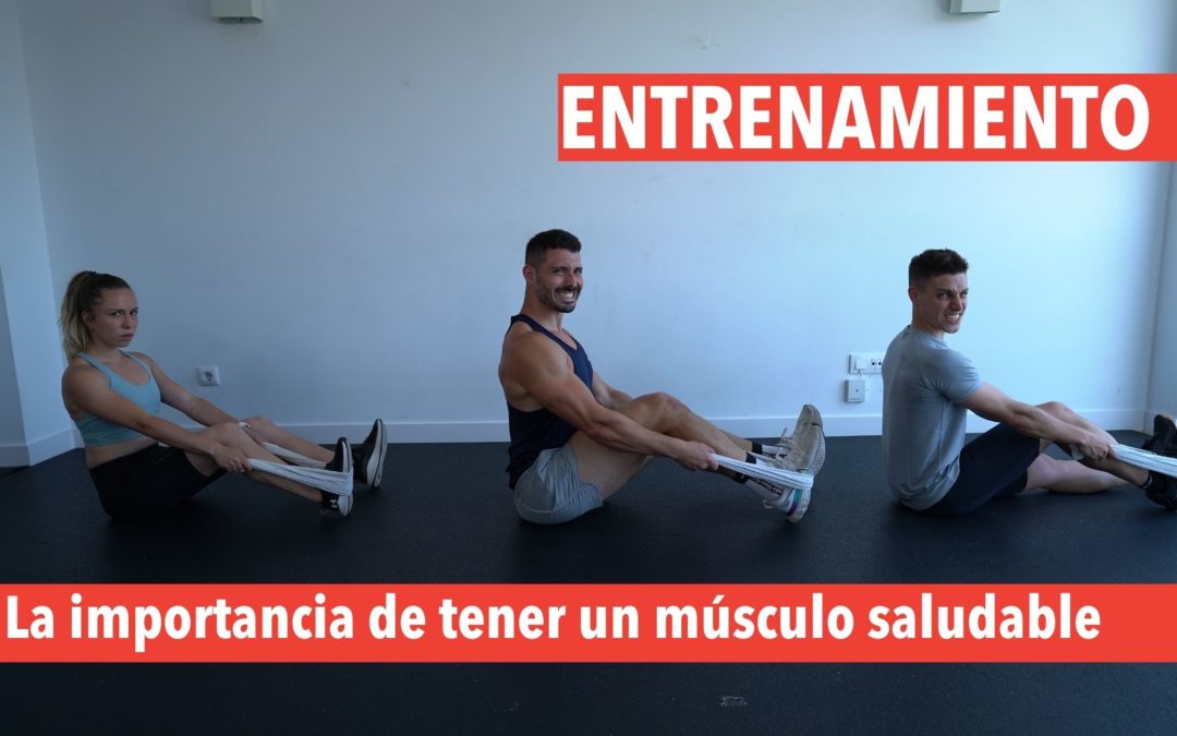 ¿Es importante tener un músculo saludable?