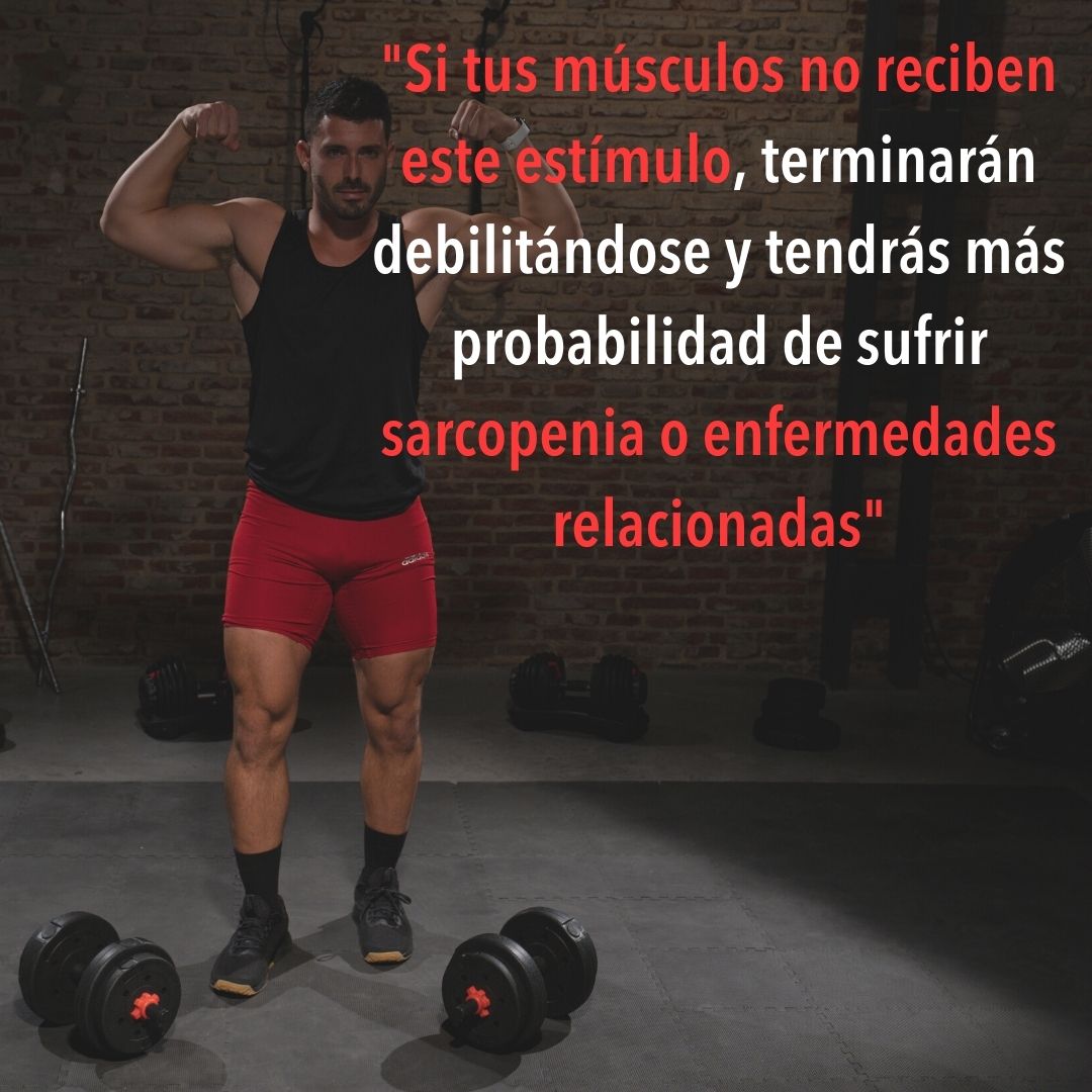 músculo saludable con estímulos necesarios