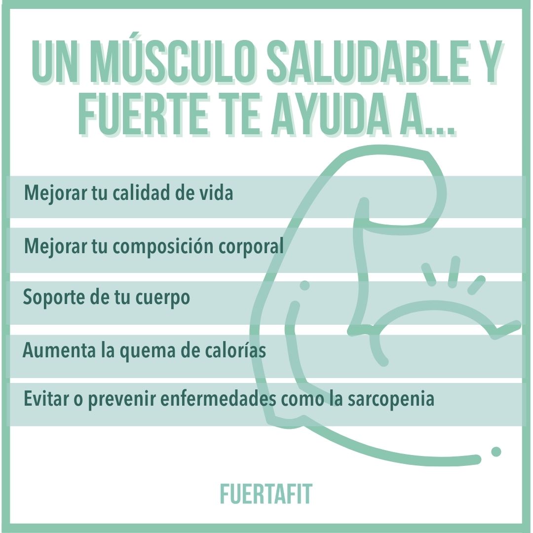 motivos para tener un músculo saludable